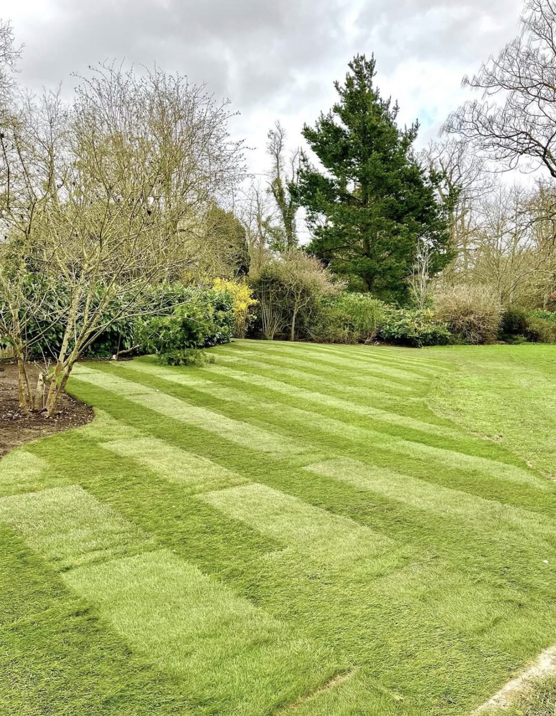 Freshly laid striped turf lawn in a large Hertfordshire garden